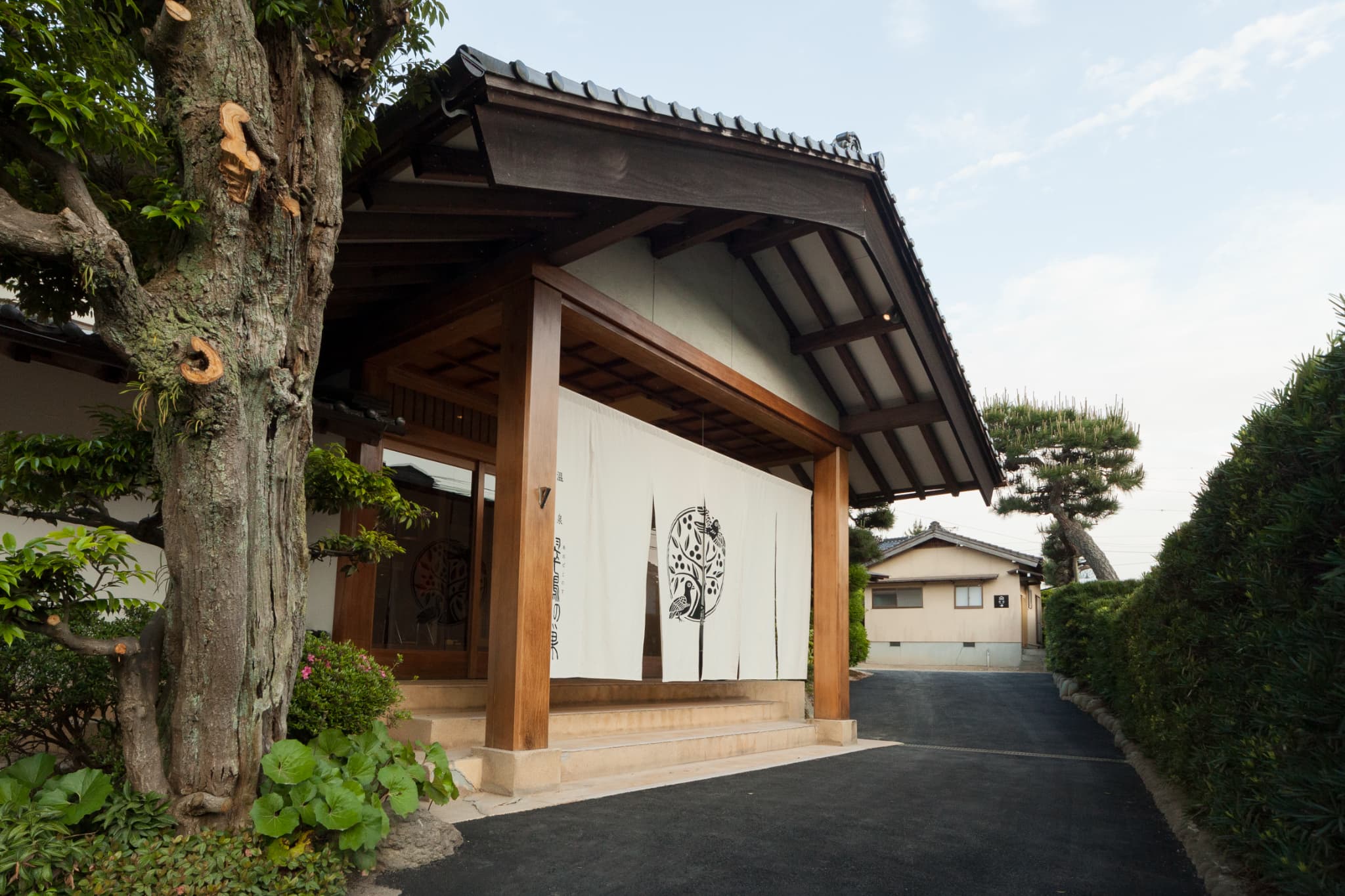 翠鳩の巣イメージ